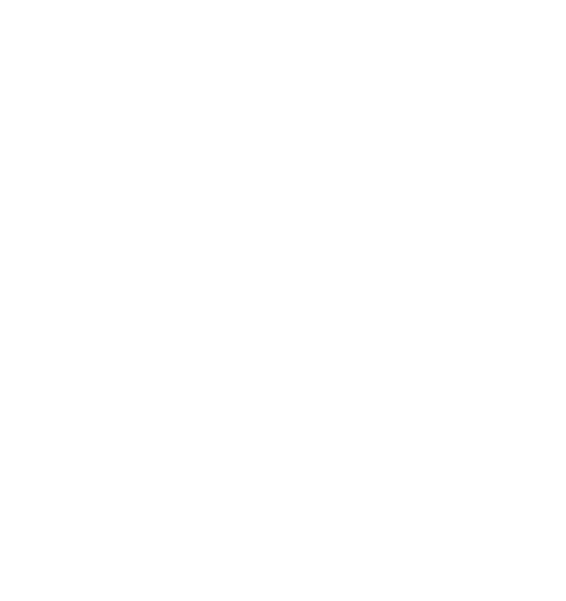 Vallenero Logo